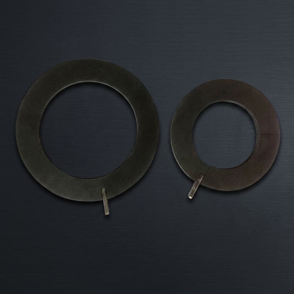 Impregnated graphite seal ring 08
